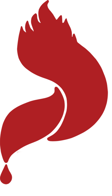 Pavin Petroleum Company